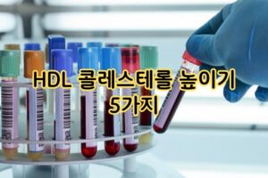HDL 콜레스테롤 높이기 5가지 HDL 콜레스테롤 높이기 5가지