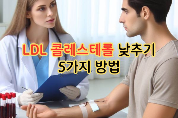 LDL 콜레스테롤 낮추기 5가지 방법 LDL 콜레스테롤 낮추기 5가지 방법