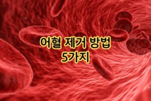 어혈 제거 방법  5가지