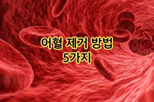 어혈 제거 방법  5가지 어혈 제거 방법  5가지