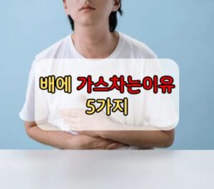 배에 가스차는이유 5가지