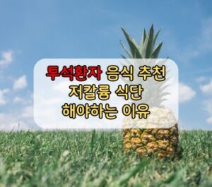 투석환자 음식 추천 저칼륨 식단 투석환자 음식 추천 저칼륨 식단