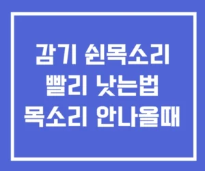 감기 쉰목소리 빨리 낫는법 목소리 안나올때