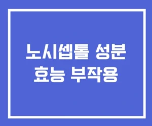 노시셉톨 성분 효능 부작용