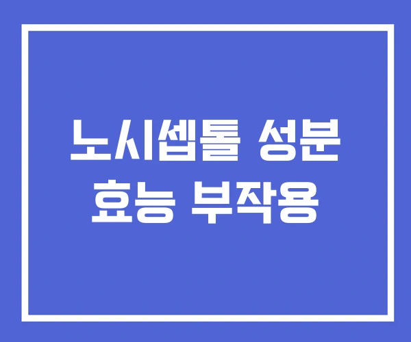 노시셉톨 성분 효능 부작용