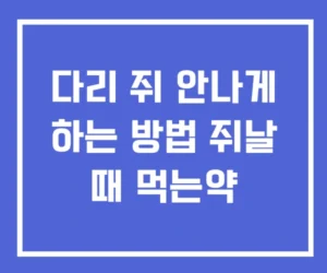 다리 쥐 안나게 하는 방법 쥐날 때 먹는약 다리 쥐 안나게 하는 방법 쥐날 때 먹는약