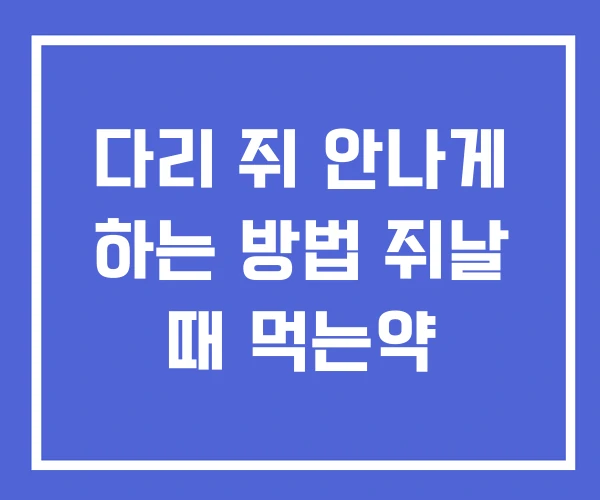 다리 쥐 안나게 하는 방법 쥐날 때 먹는약