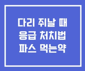다리 쥐날 때 응급 처치법 파스 먹는약