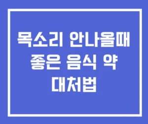 목소리 안나올때 좋은 음식 약 대처법