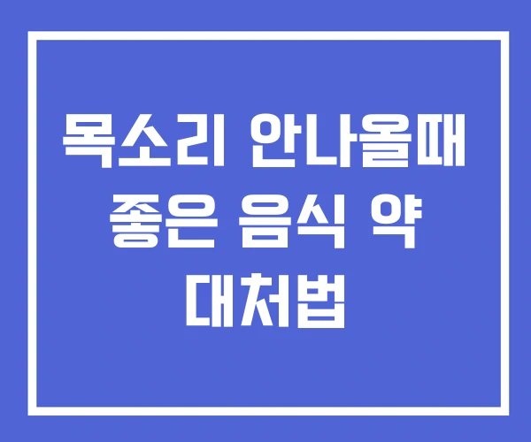 목소리 안나올때 좋은 음식 약 대처법 목소리 안나올때 좋은 음식 약 대처법