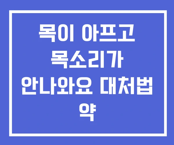 목이 아프고 목소리가 안나와요 대처법 약 목이 아프고 목소리가 안나와요 대처법 약