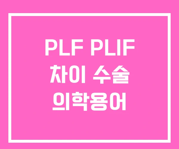 PLF PLIF 차이 수술 의학용어 PLF PLIF 차이 수술 의학용어
