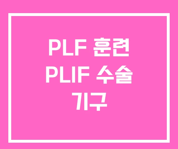 PLF 훈련 PLIF 수술 기구 PLF 훈련 PLIF 수술 기구