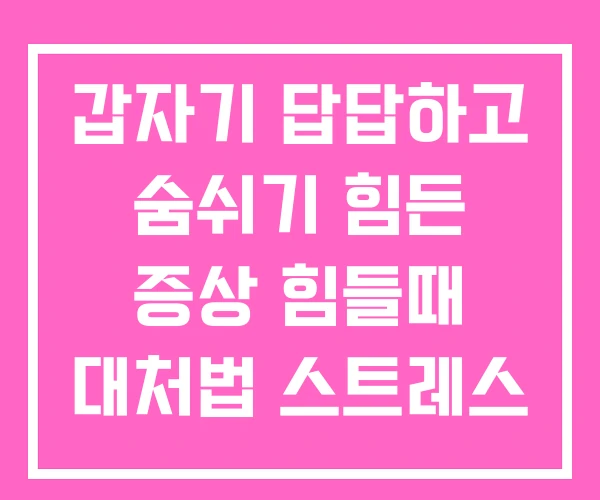 갑자기 답답하고 숨쉬기 힘든 증상 힘들때 대처법 스트레스 갑자기 답답하고 숨쉬기 힘든 증상 힘들때 대처법 스트레스