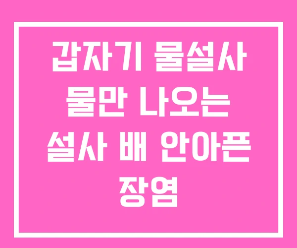 갑자기 물설사 물만 나오는 설사 배 안아픈 장염 갑자기 물설사 물만 나오는 설사 배 안아픈 장염