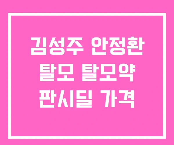 김성주 안정환 탈모 탈모약 판시딜 가격 김성주 안정환 탈모 탈모약 판시딜 가격