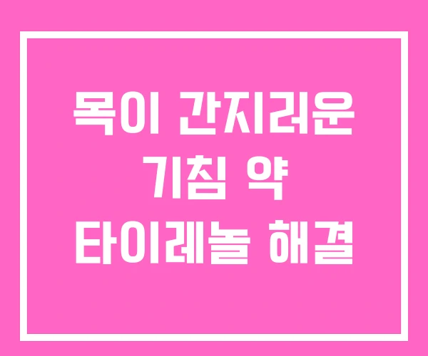 목이 간지러운 기침 약 타이레놀 해결 목이 간지러운 기침 약 타이레놀 해결