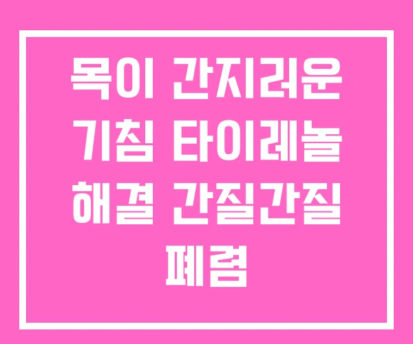목이 간지러운 기침 타이레놀 해결 간질간질 폐렴 목이 간지러운 기침 타이레놀 해결 간질간질 폐렴