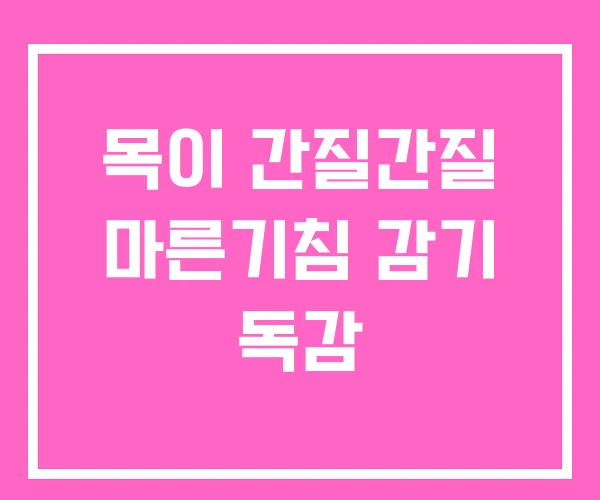 목이 간질간질 마른기침 감기 독감 목이 간질간질 마른기침 감기 독감
