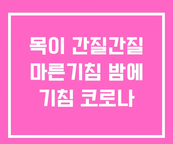목이 간질간질 마른기침 밤에 기침 코로나 목이 간질간질 마른기침 밤에 기침 코로나