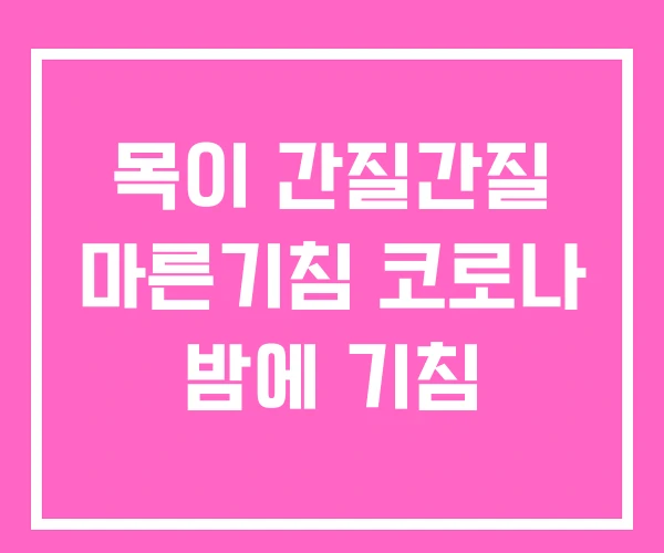 목이 간질간질 마른기침 코로나 밤에 기침 목이 간질간질 마른기침 코로나 밤에 기침