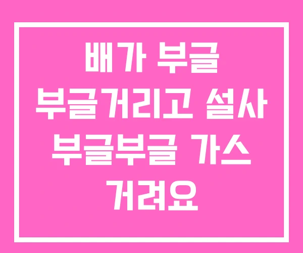 배가 부글 부글거리고 설사 부글부글 가스 거려요 배가 부글 부글거리고 설사 부글부글 가스 거려요