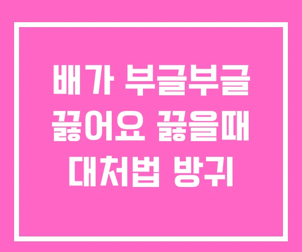 배가 부글부글 끓어요 끓을때 대처법 방귀 배가 부글부글 끓어요 끓을때 대처법 방귀