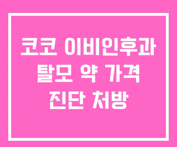 코코 이비인후과 탈모 약 가격 진단 처방 코코 이비인후과 탈모 약 가격 진단 처방