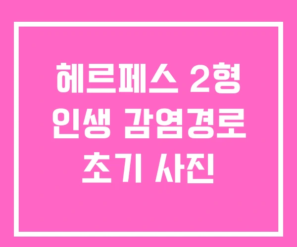 헤르페스 2형 인생 감염경로 초기 사진 헤르페스 2형 인생 감염경로 초기 사진
