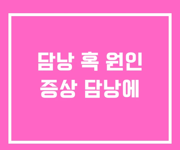 담낭 혹 원인 증상 담낭에 담낭 혹 원인 증상 담낭에
