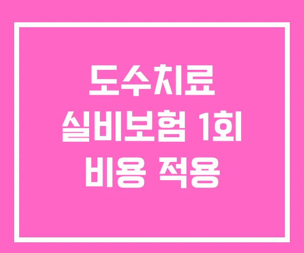 도수치료 실비보험 1회 비용 적용 도수치료 실비보험 1회 비용 적용
