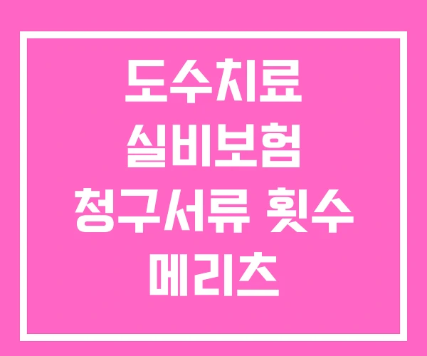 도수치료 실비보험 청구서류 횟수 메리츠 도수치료 실비보험 청구서류 횟수 메리츠