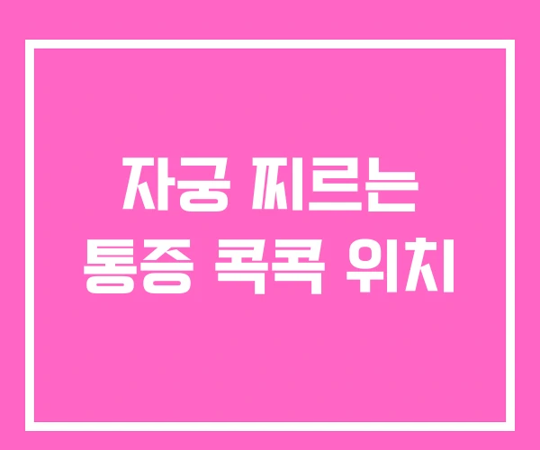 자궁 찌르는 통증 콕콕 위치 자궁 찌르는 통증 콕콕 위치