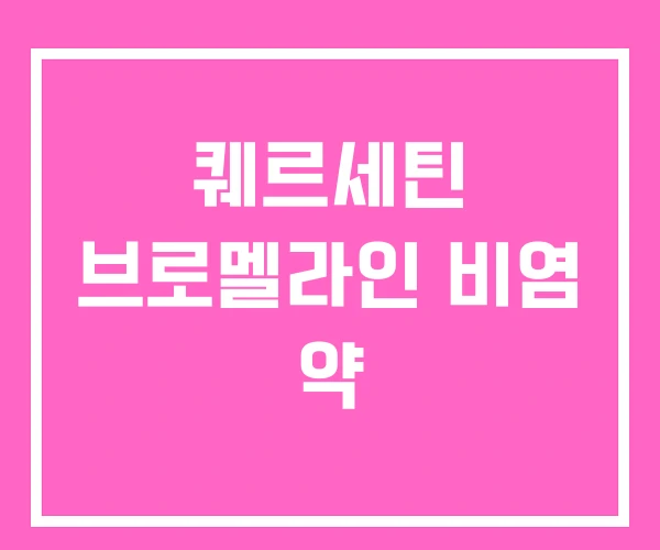 퀘르세틴 브로멜라인 비염 약 퀘르세틴 브로멜라인 비염 약