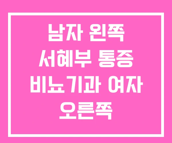 남자 왼쪽 서혜부 통증 비뇨기과 여자 오른쪽