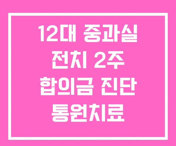 12대 중과실 전치 2주 합의금 진단 통원치료 교통사고 200