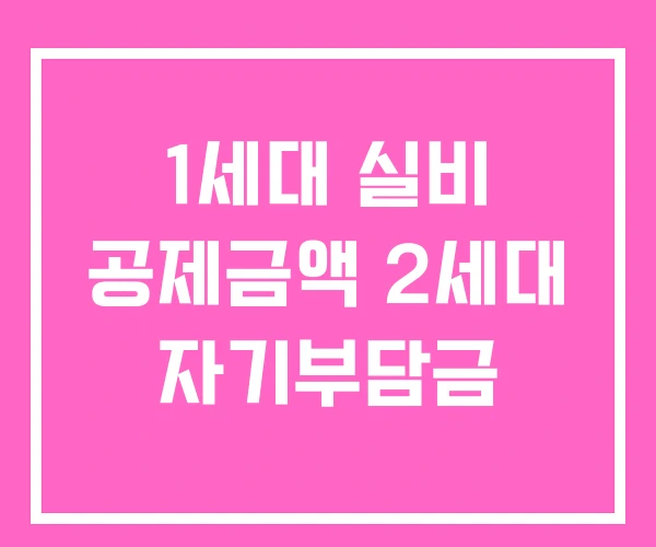 1세대 실비 공제금액 2세대 자기부담금