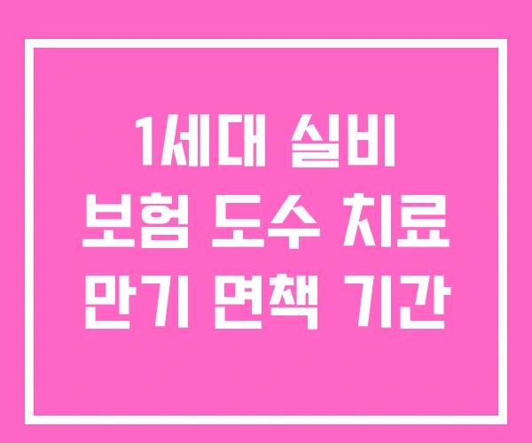 1세대 실비 보험 도수 치료 만기 면책 기간 1세대 실비 보험 도수 치료 만기 면책 기간