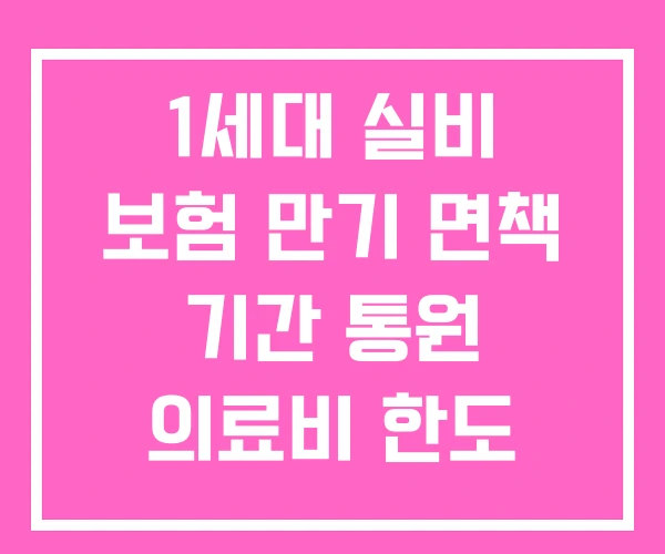 1세대 실비 보험 만기 면책 기간 통원 의료비 한도
