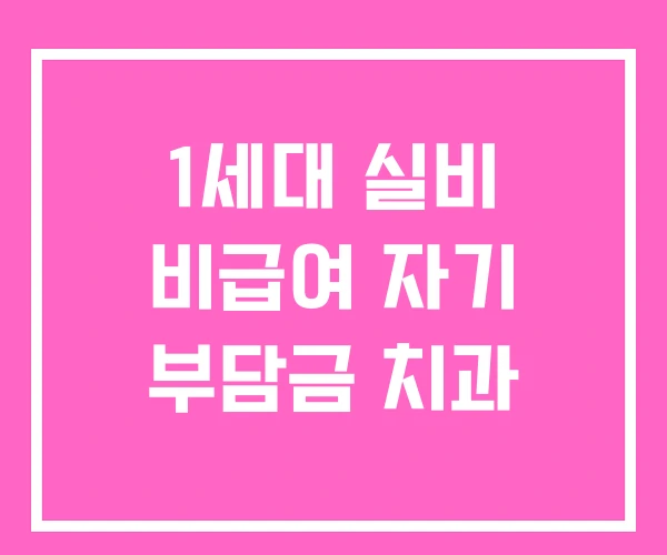 1세대 실비 비급여 자기 부담금 치과