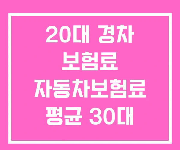 20대 경차 보험료 자동차보험료 평균 30대 20대 경차 보험료 자동차보험료 평균 30대