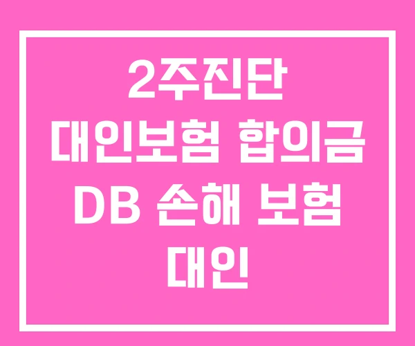 2주진단 대인보험 합의금 DB 손해 보험 대인