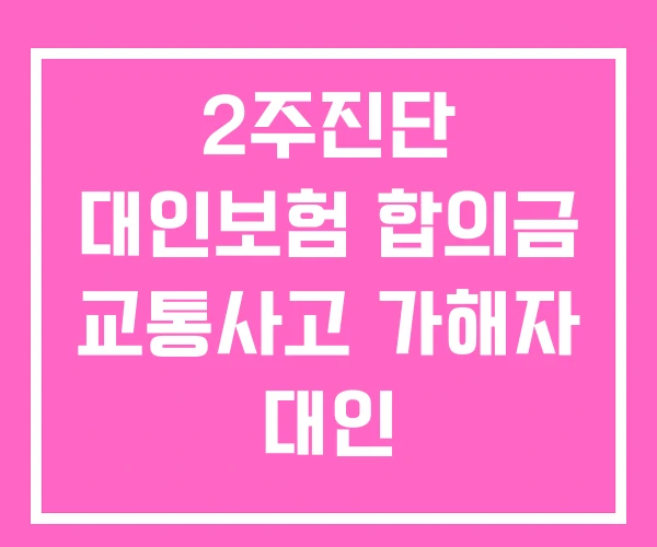 2주진단 대인보험 합의금 교통사고 가해자 대인