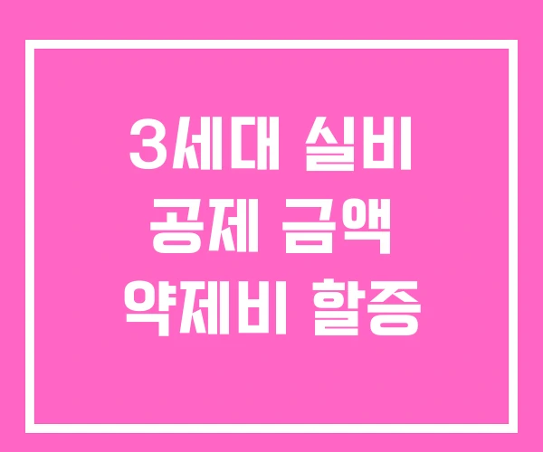 3세대 실비 공제 금액 약제비 할증