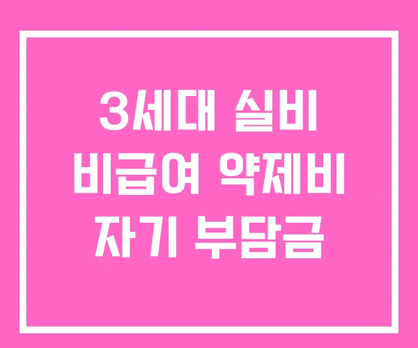3세대 실비 비급여 약제비 자기 부담금 3세대 실비 비급여 약제비 자기 부담금