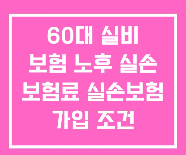 60대 실비 보험 노후 실손 보험료 실손보험 가입 조건 60대 실비 보험 노후 실손 보험료 실손보험 가입 조건