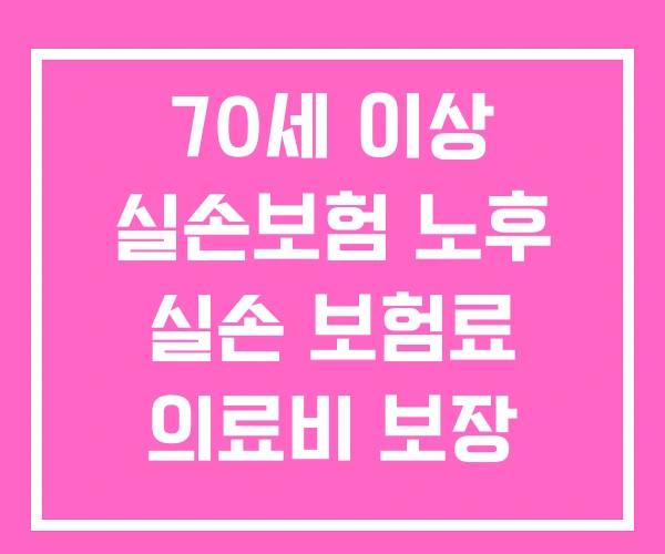70세 이상 실손보험 노후 실손 보험료 의료비 보장 보험 70세 이상 실손보험 노후 실손 보험료 의료비 보장 보험