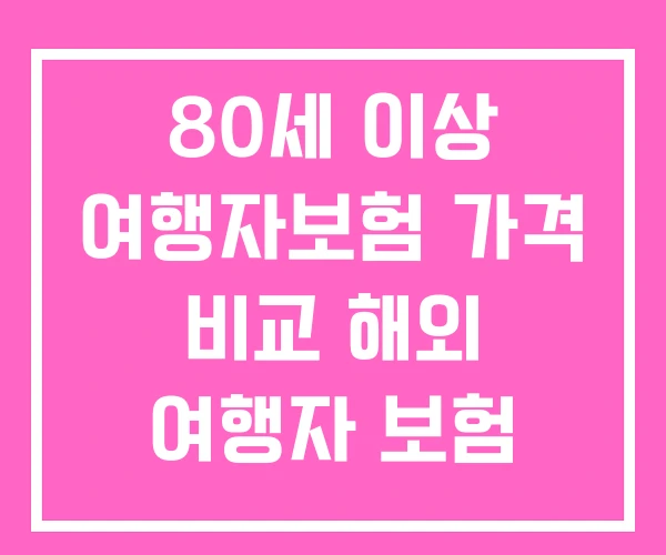 80세 이상 여행자보험 가격 비교 해외 여행자 보험 고령자 80세 이상 여행자보험 가격 비교 해외 여행자 보험 고령자