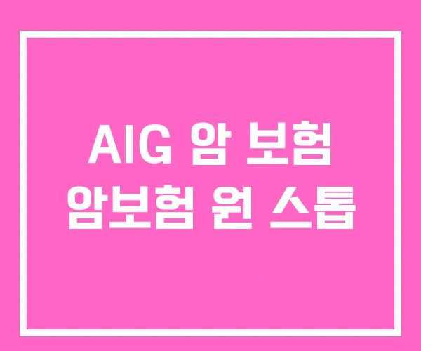 AIG 암 보험 암보험 원 스톱 AIG 암 보험 암보험 원 스톱