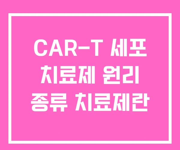 CAR-T 세포 치료제 원리 종류 치료제란 CAR-T 세포 치료제 원리 종류 치료제란